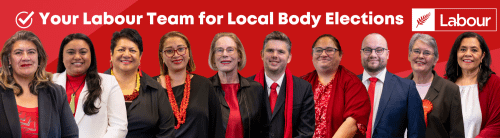Labour selects old hands and fresh legs to contest Maungakiekie-Tāmaki.